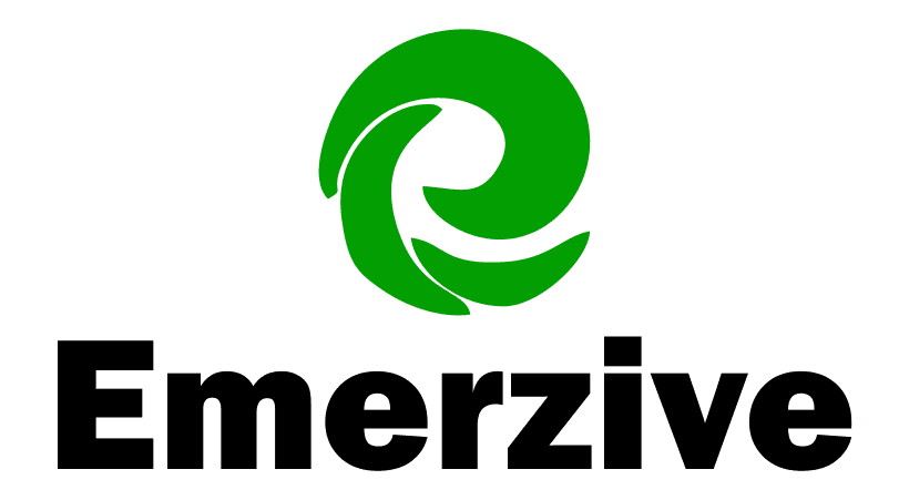 emerzive.com